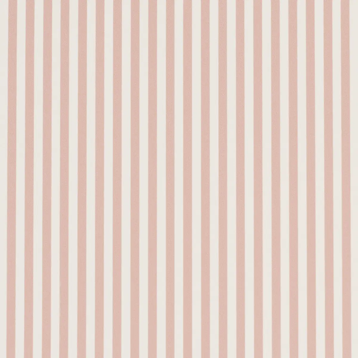 Emma Stripe Narrow_ ROSE