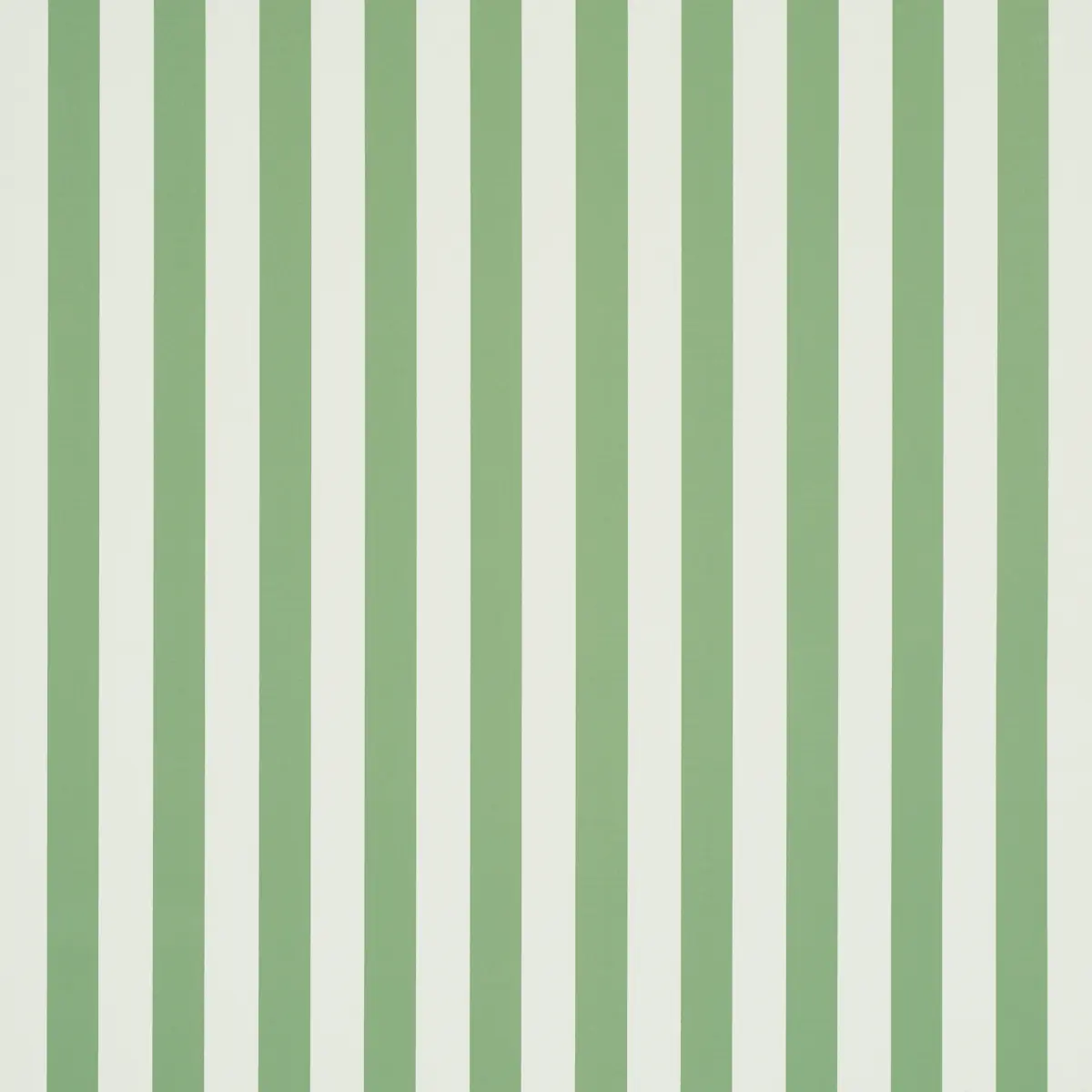 Emma Stripe_ APPLE GREEN