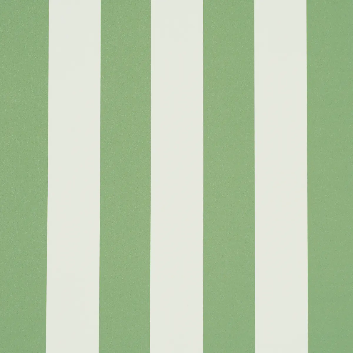 Emma Stripe_ APPLE GREEN