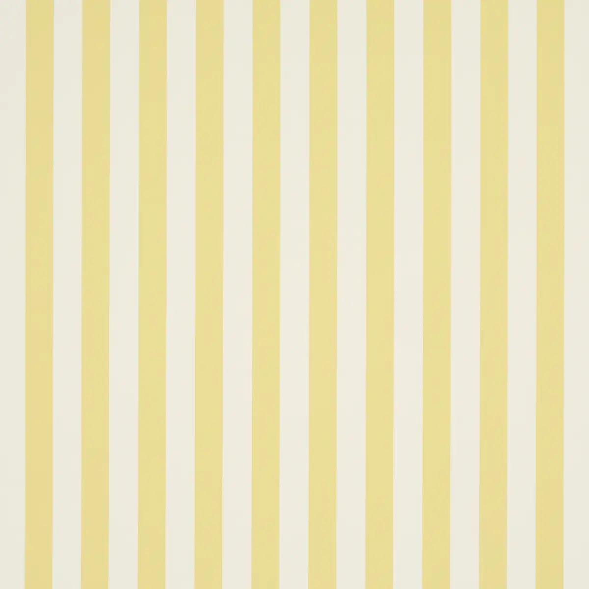 EMMA STRIPE_ YELLOW