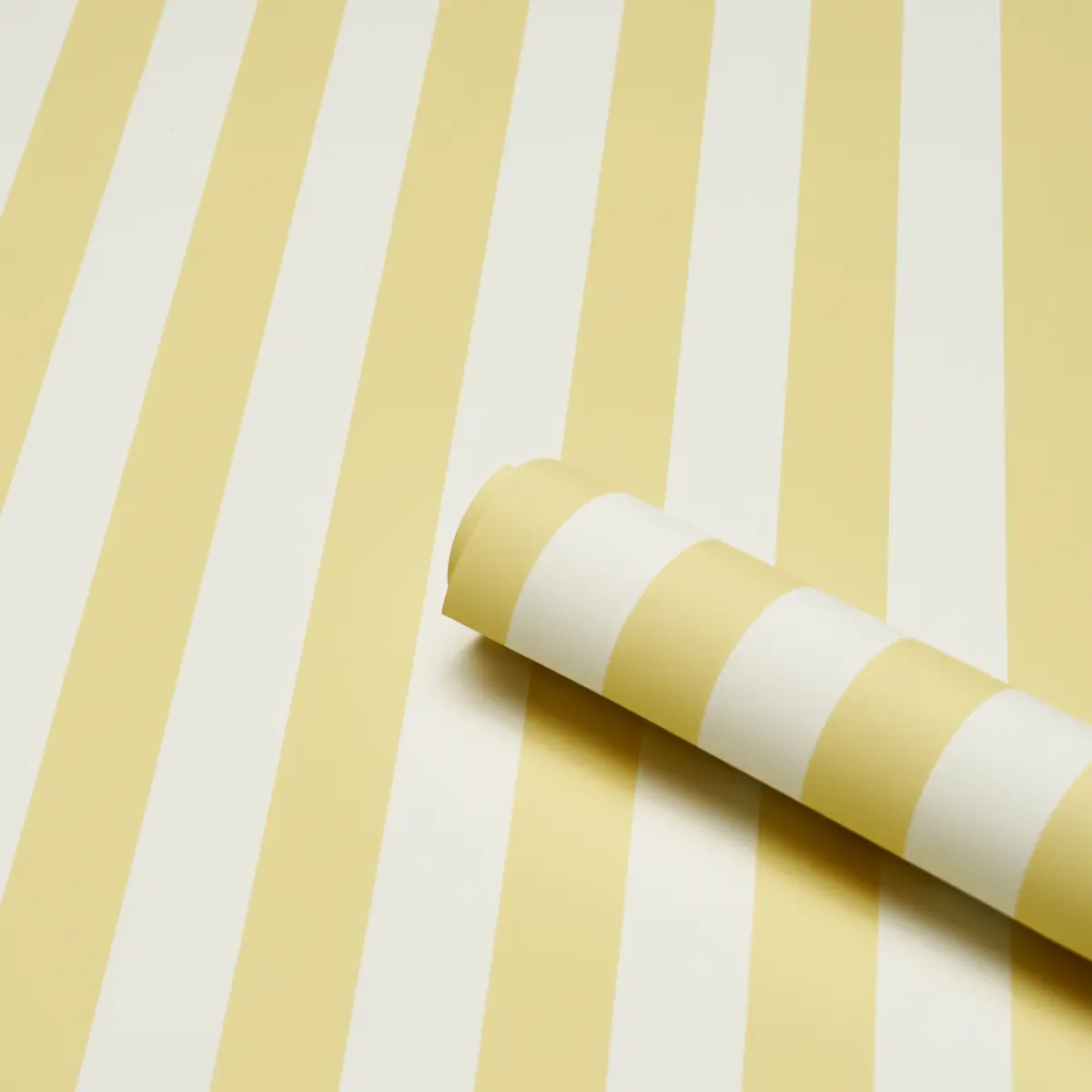EMMA STRIPE_ YELLOW