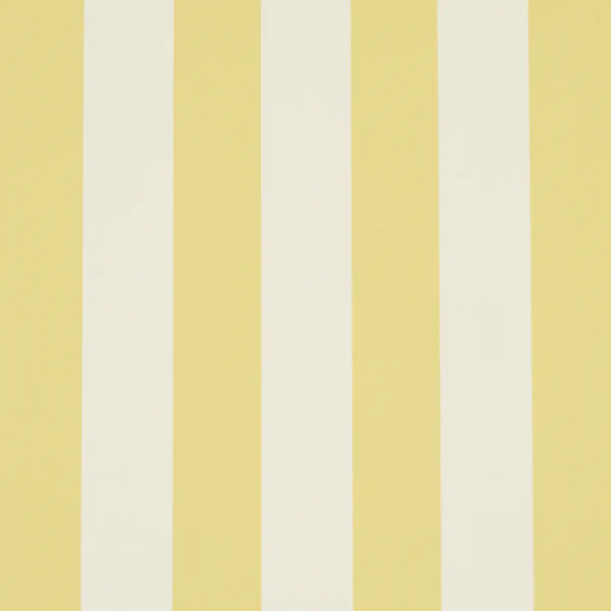 EMMA STRIPE_ YELLOW