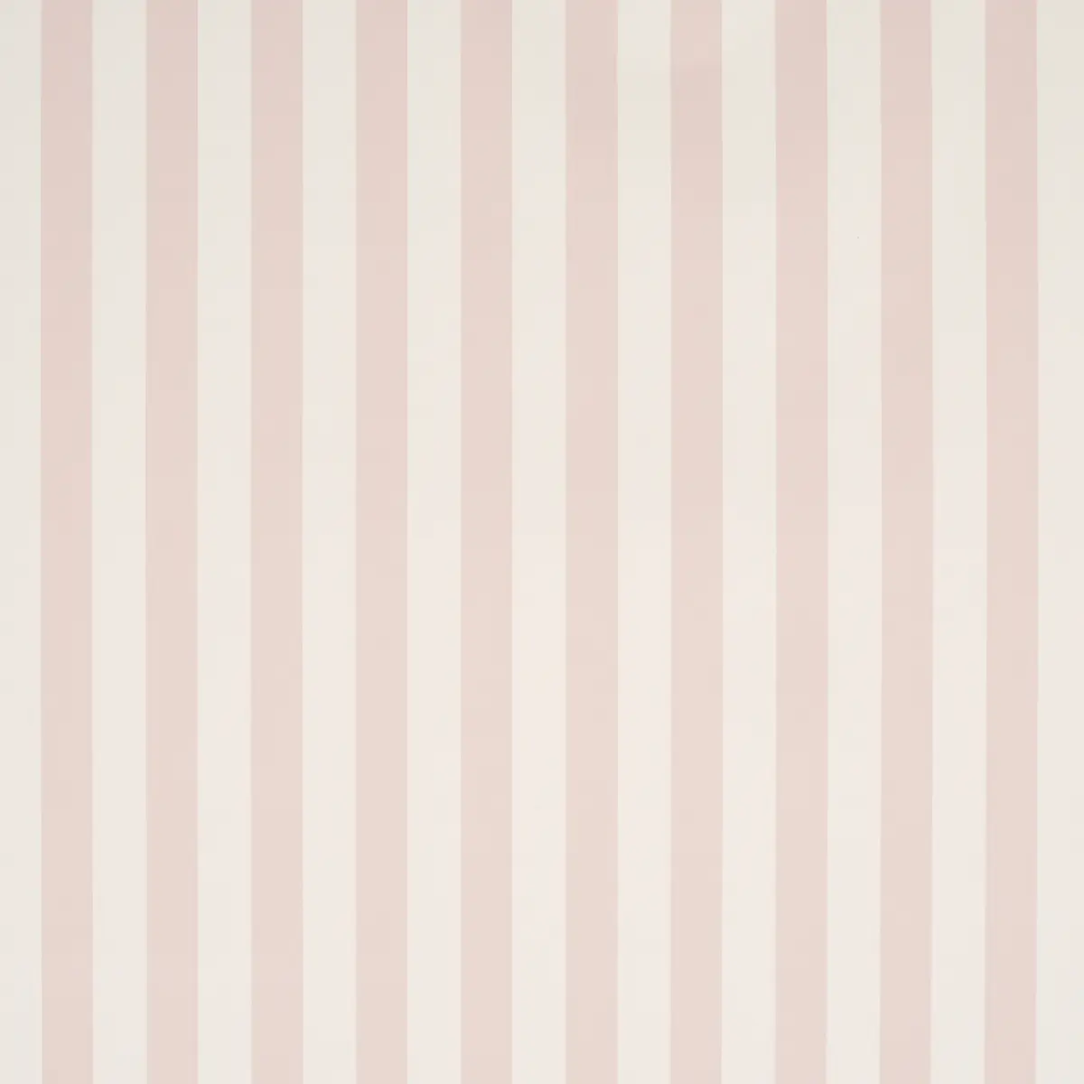 Emma Stripe_ PETAL