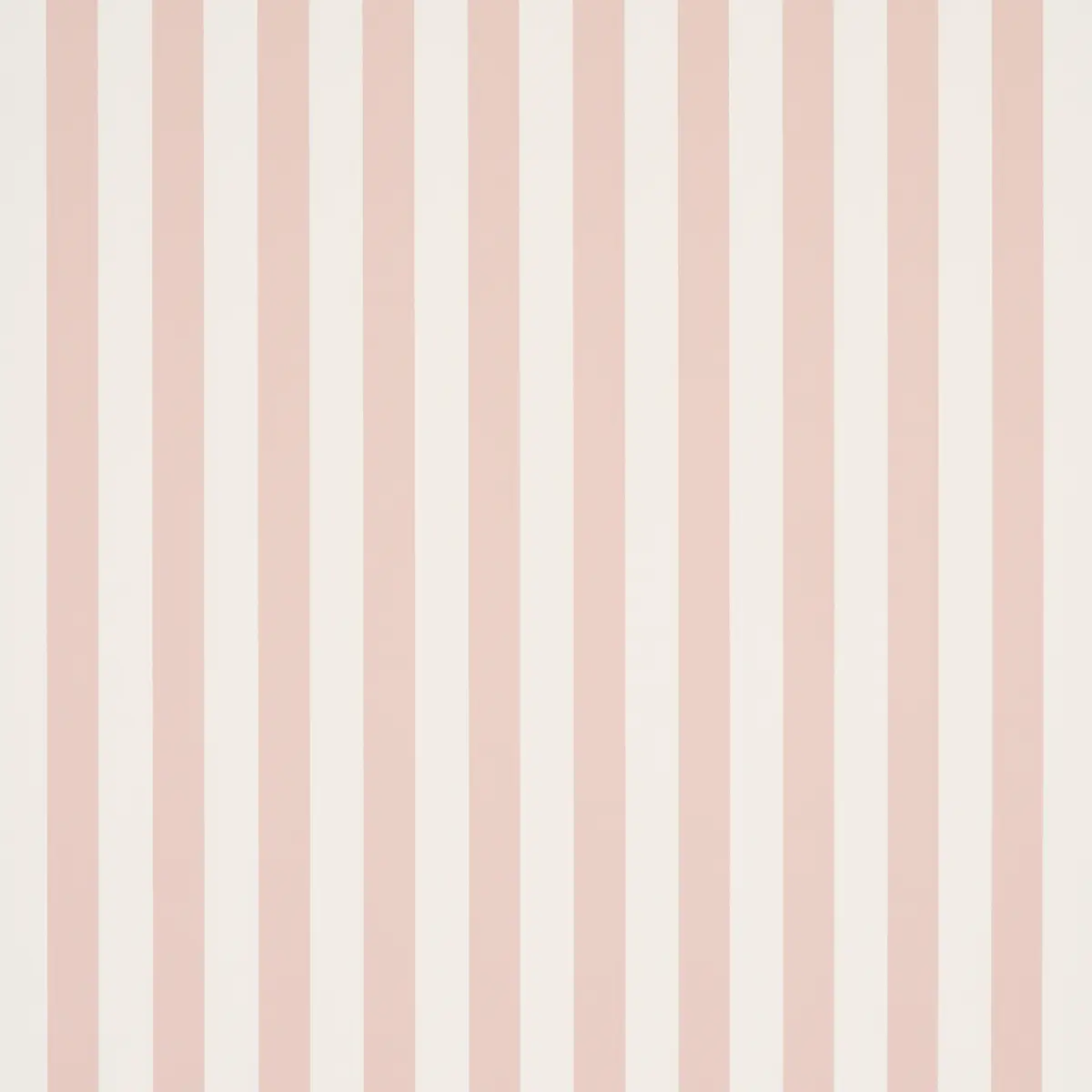 Emma Stripe_ BLUSH