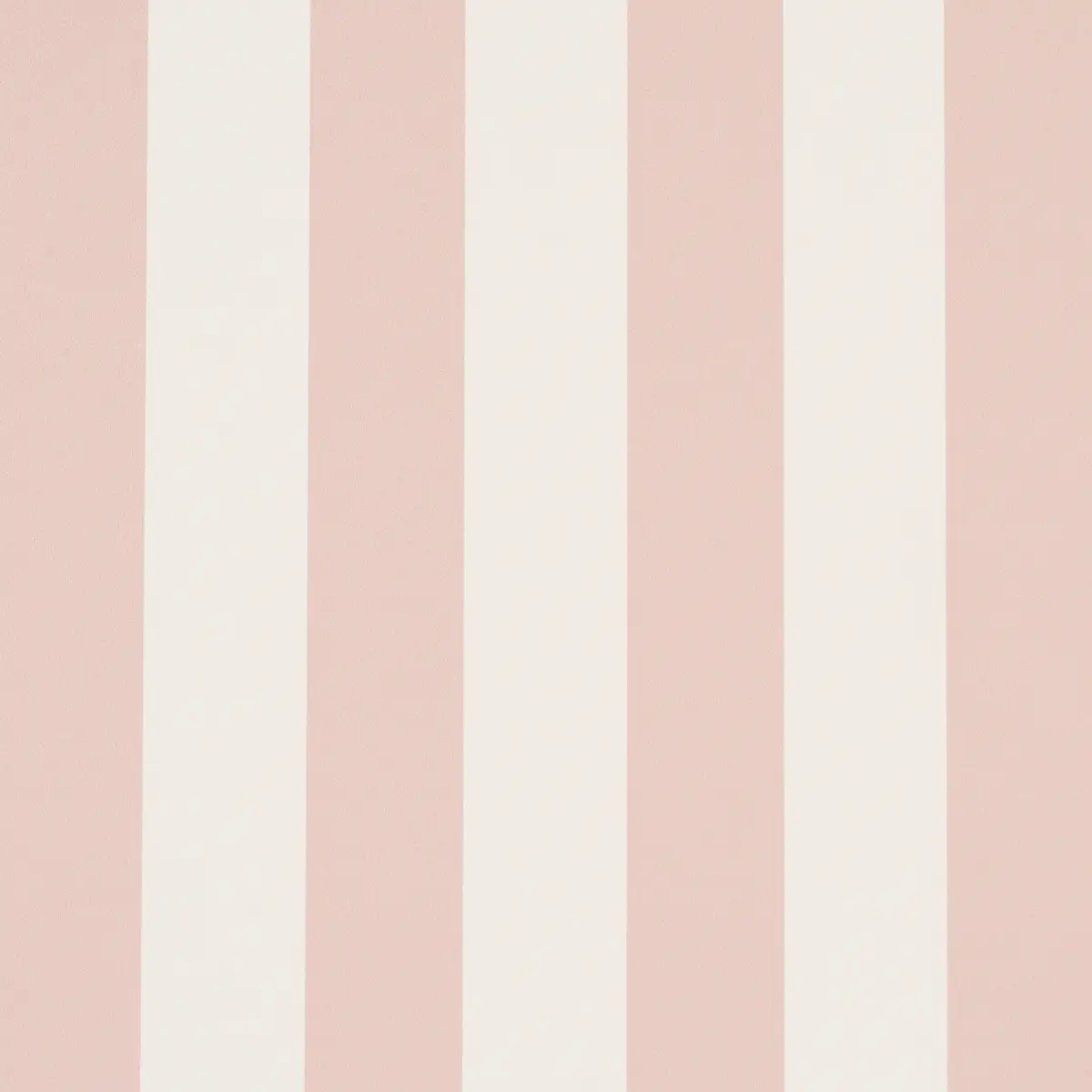 Emma Stripe_ BLUSH