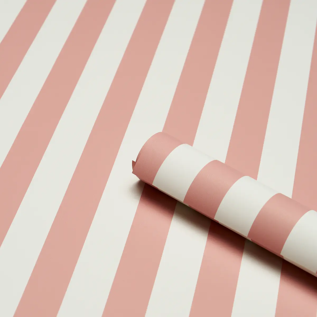 Emma Stripe_ CORAL