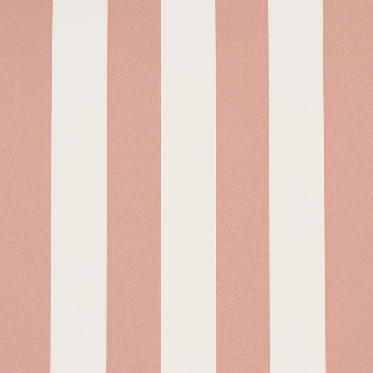 Emma Stripe_ CORAL