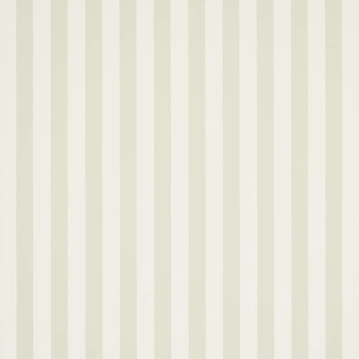 Emma Stripe_ BIRCH