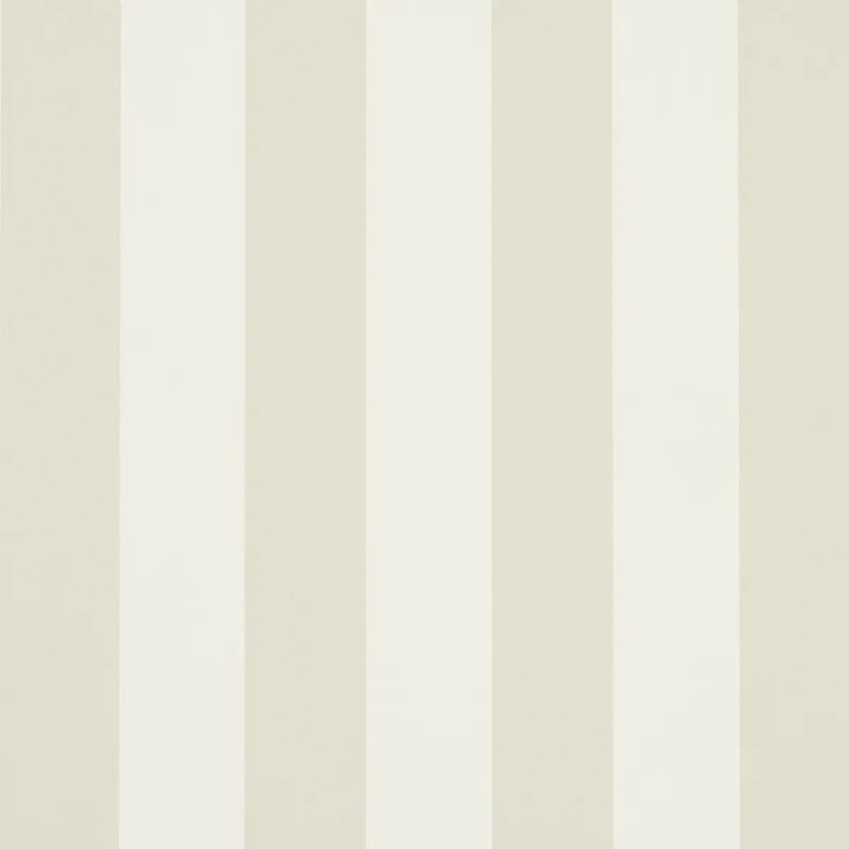 Emma Stripe_ BIRCH