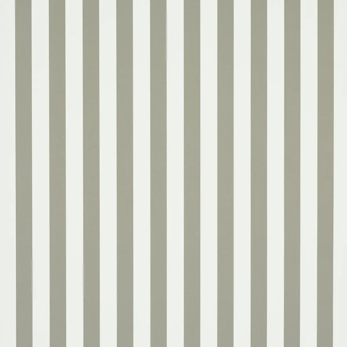 Emma Stripe_ GRAY