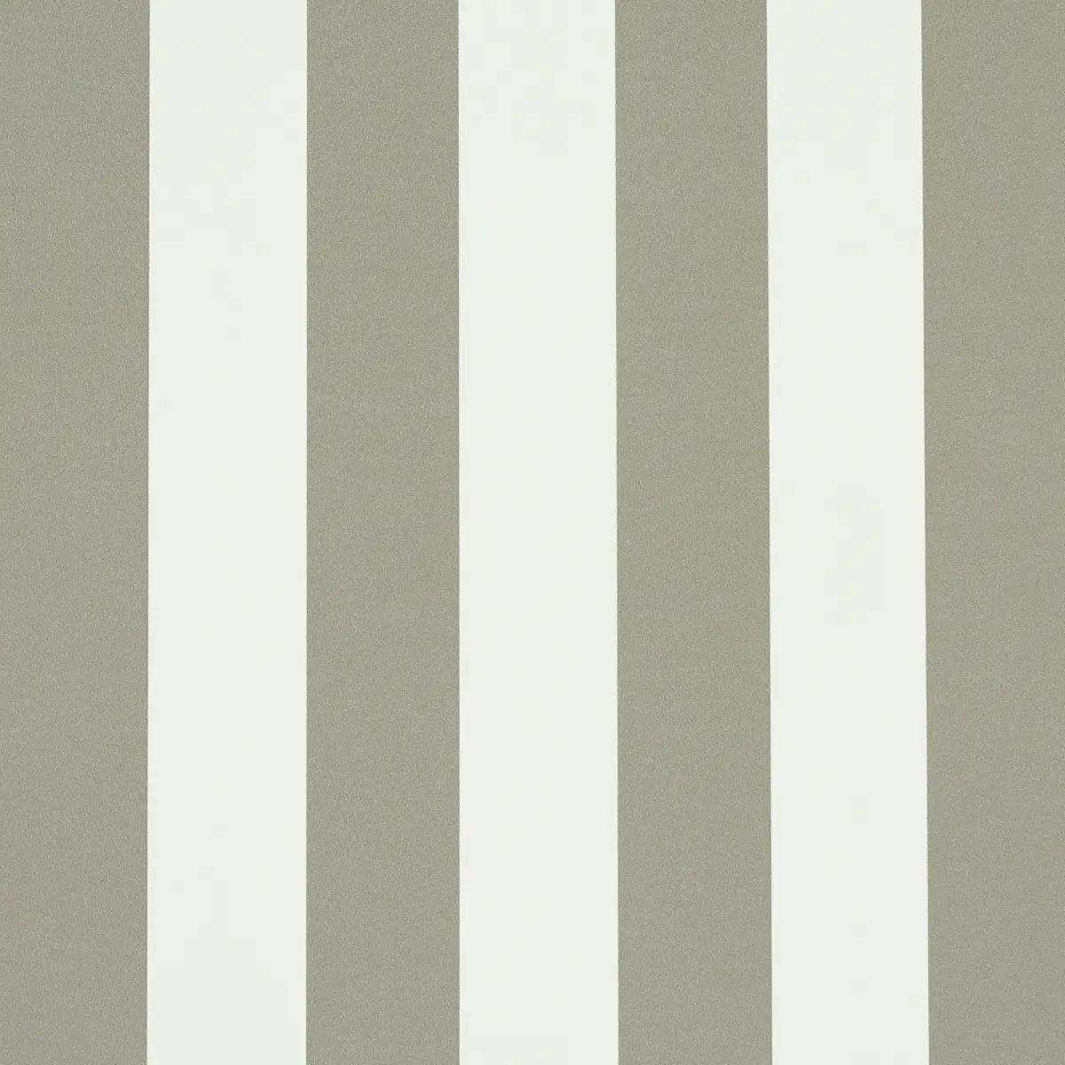 Emma Stripe_ GRAY