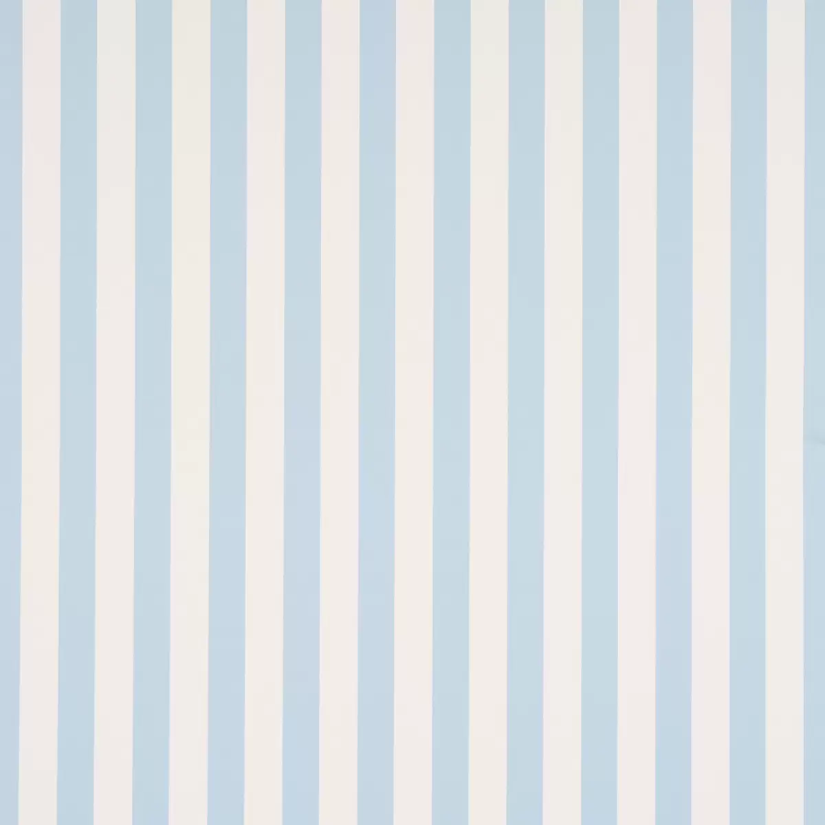 Emma Stripe_ ICE