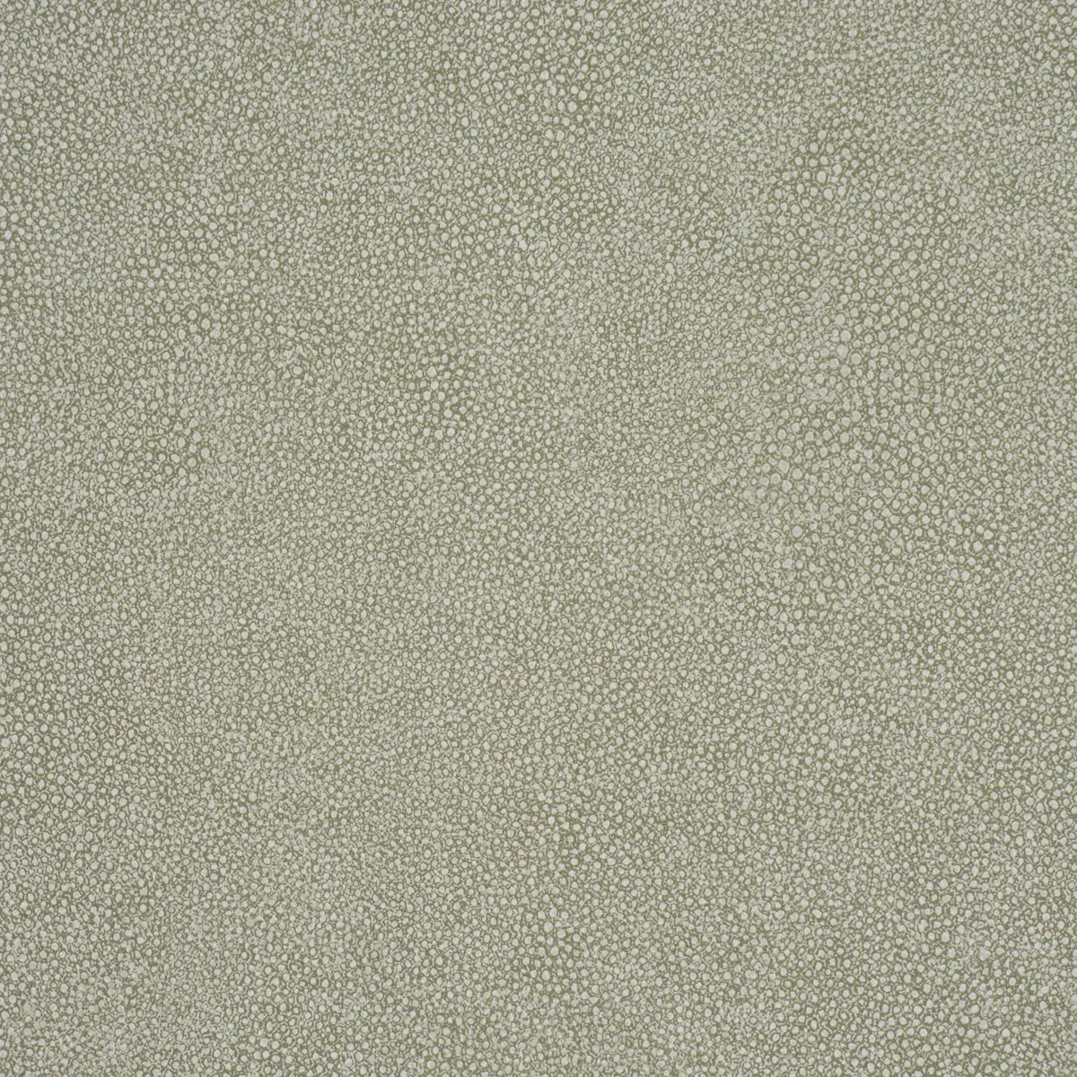 DUNBAR SHAGREEN VINYL_ OLIVE