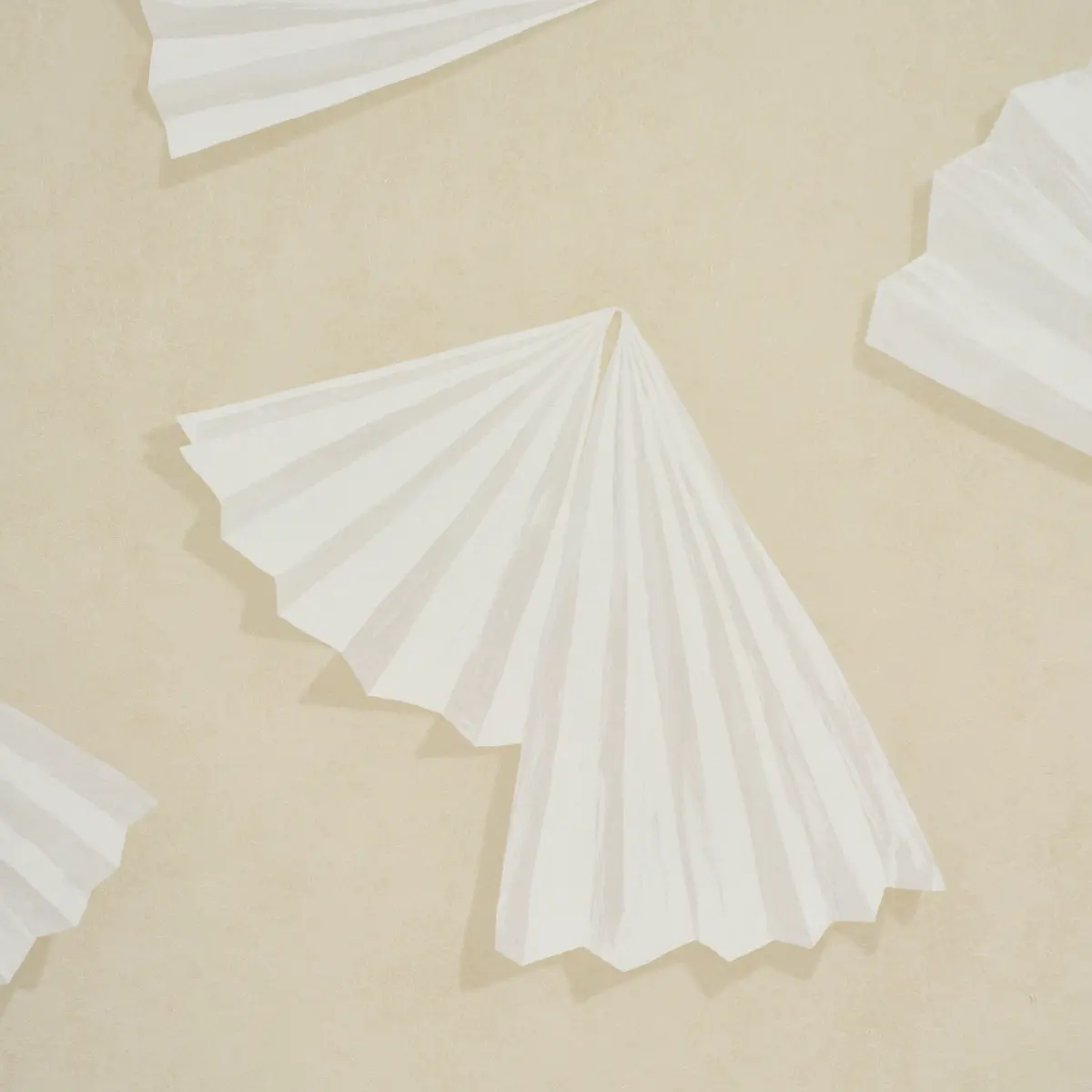 Antoinette_ WARM WHITE