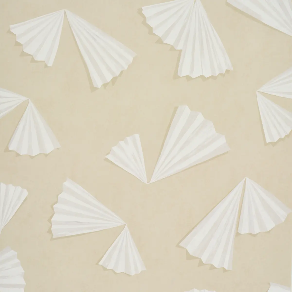 Antoinette_ WARM WHITE
