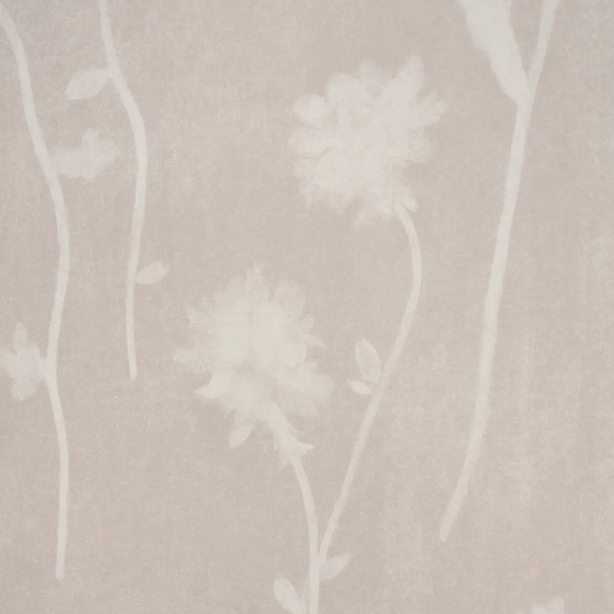 Before Midnight_ LIGHT BEIGE