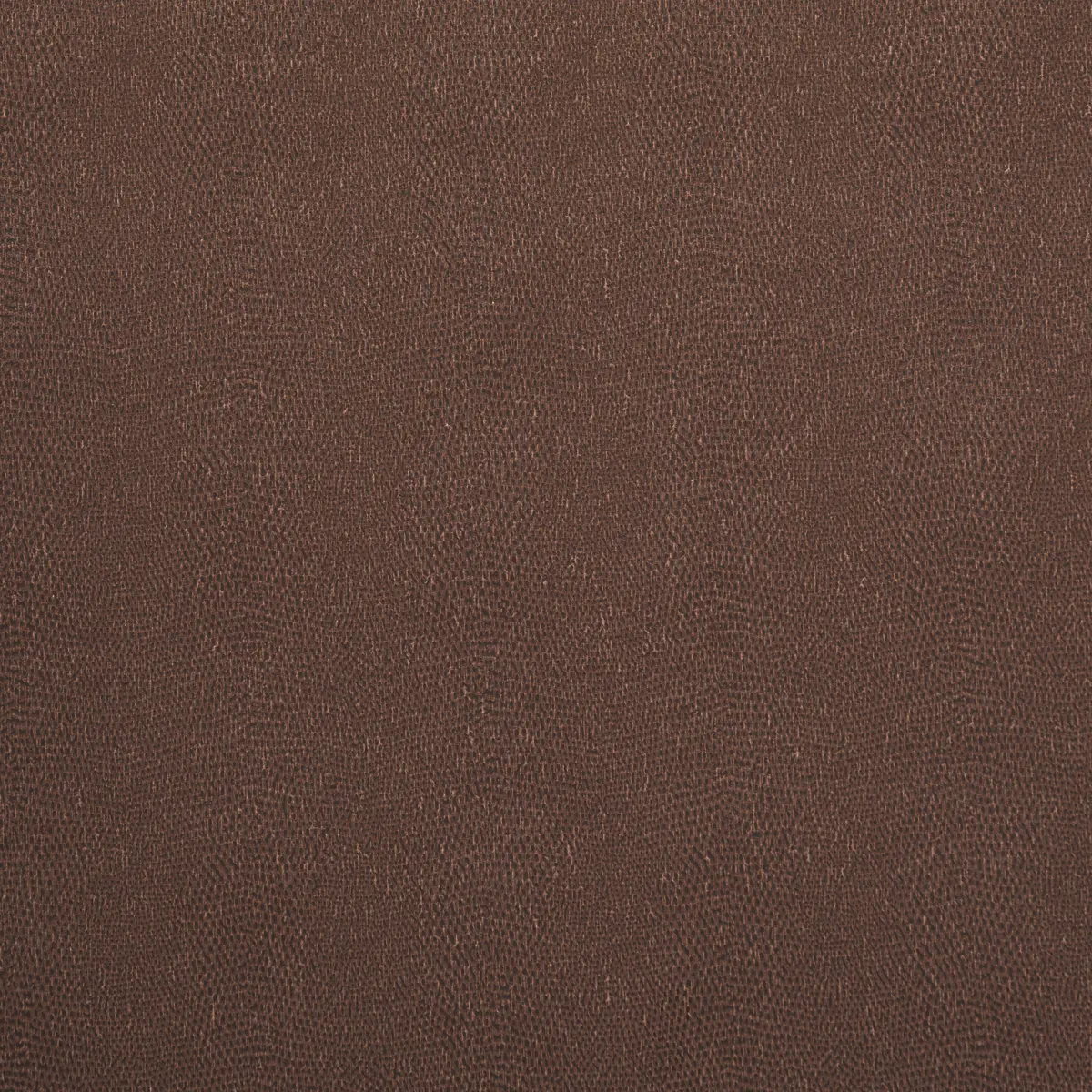 SNAKESKIN VINYL_ SADDLE