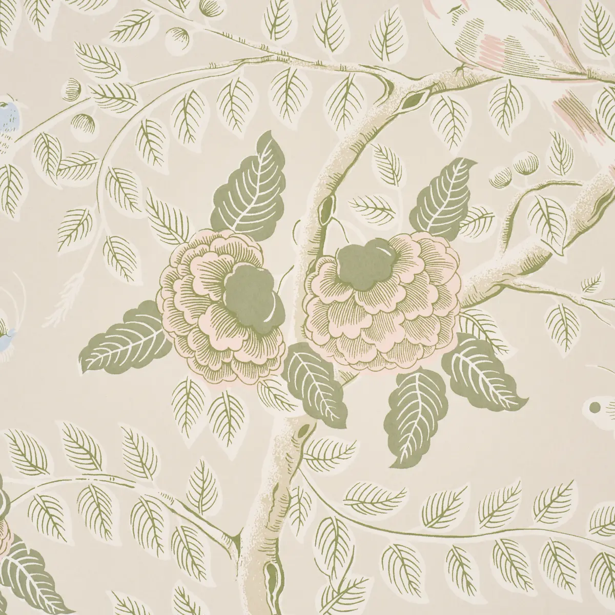 Tole Bird_ PETAL