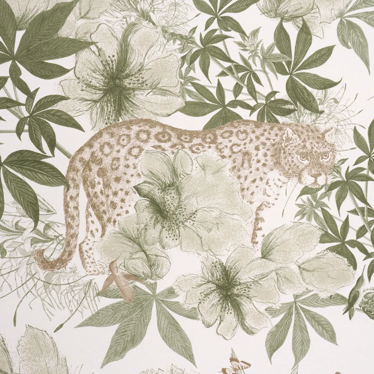 Nocturnum_ IVORY & OLIVE