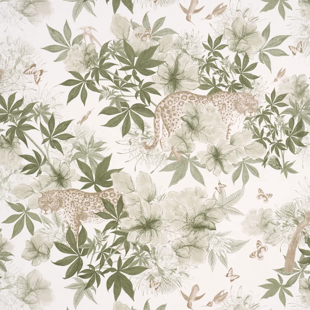Nocturnum_ IVORY & OLIVE