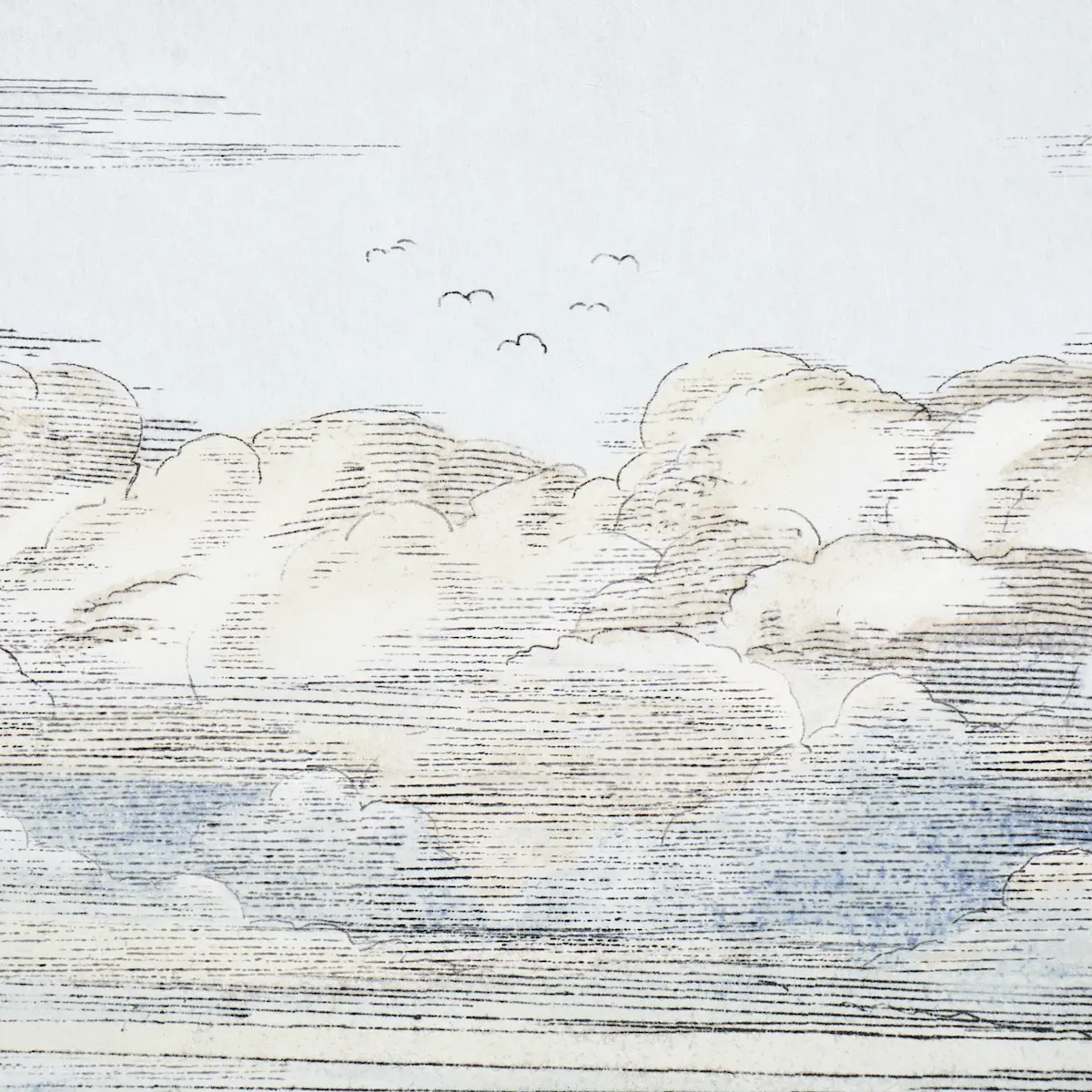 Mr. Darcy's Clouds_ SKY