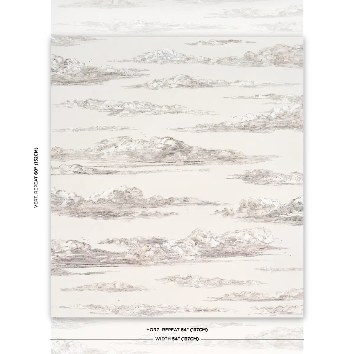 Mr. Darcy's Clouds_ GRISAILLE