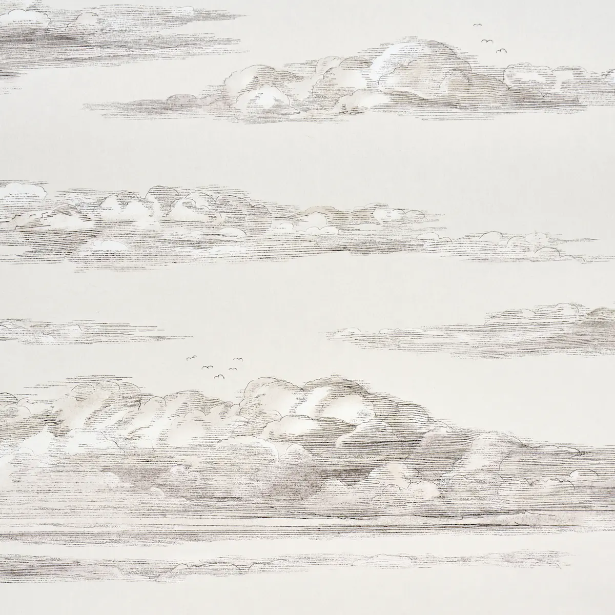 Mr. Darcy's Clouds_ GRISAILLE