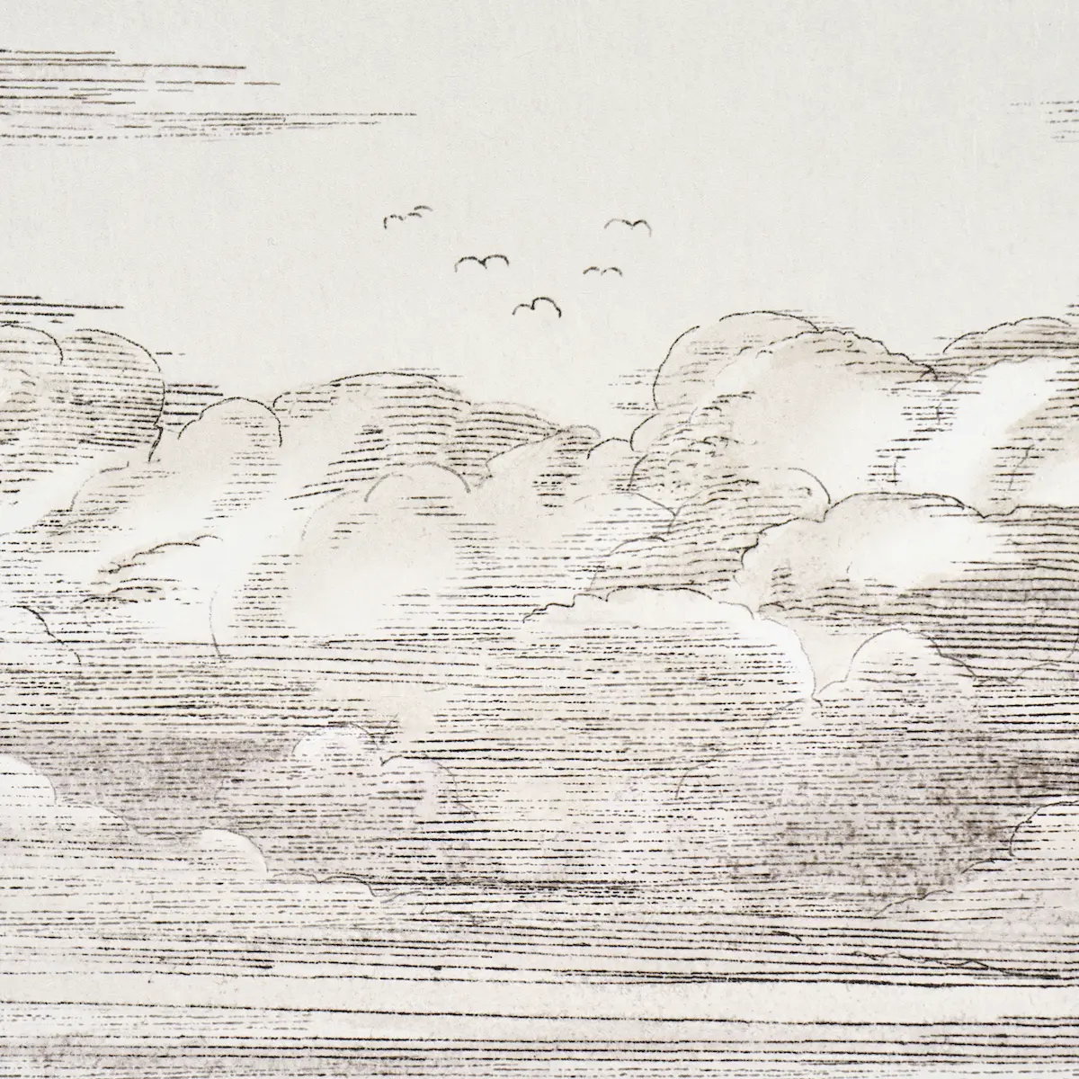 Mr. Darcy's Clouds_ GRISAILLE