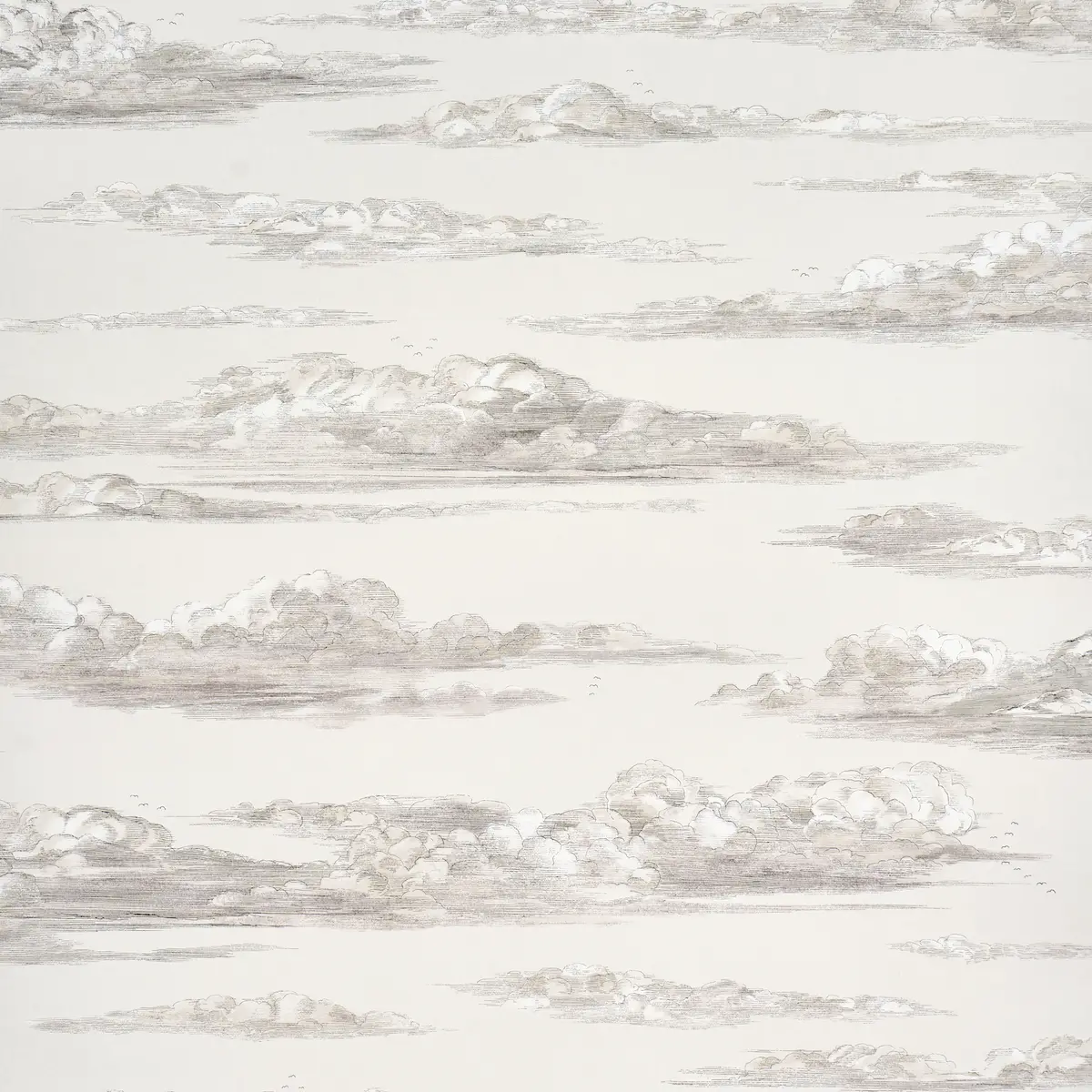 Mr. Darcy's Clouds_ GRISAILLE