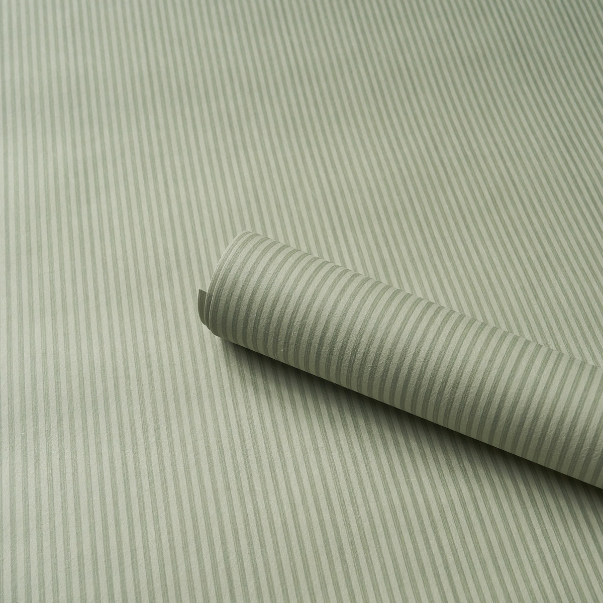 Edwin Stripe Narrow_ SAGE