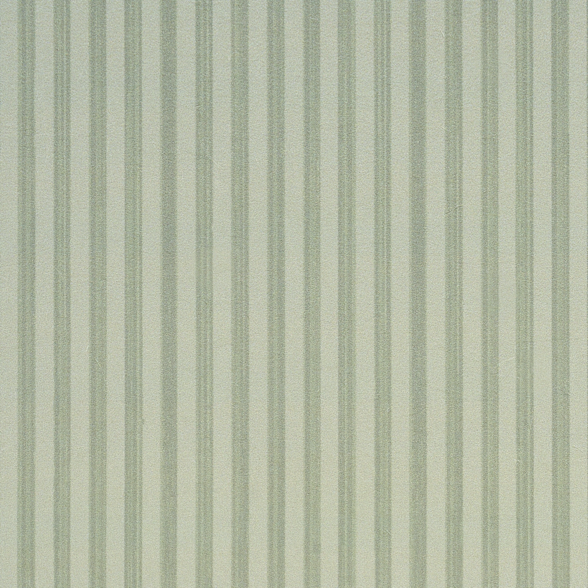 Edwin Stripe Narrow_ SAGE