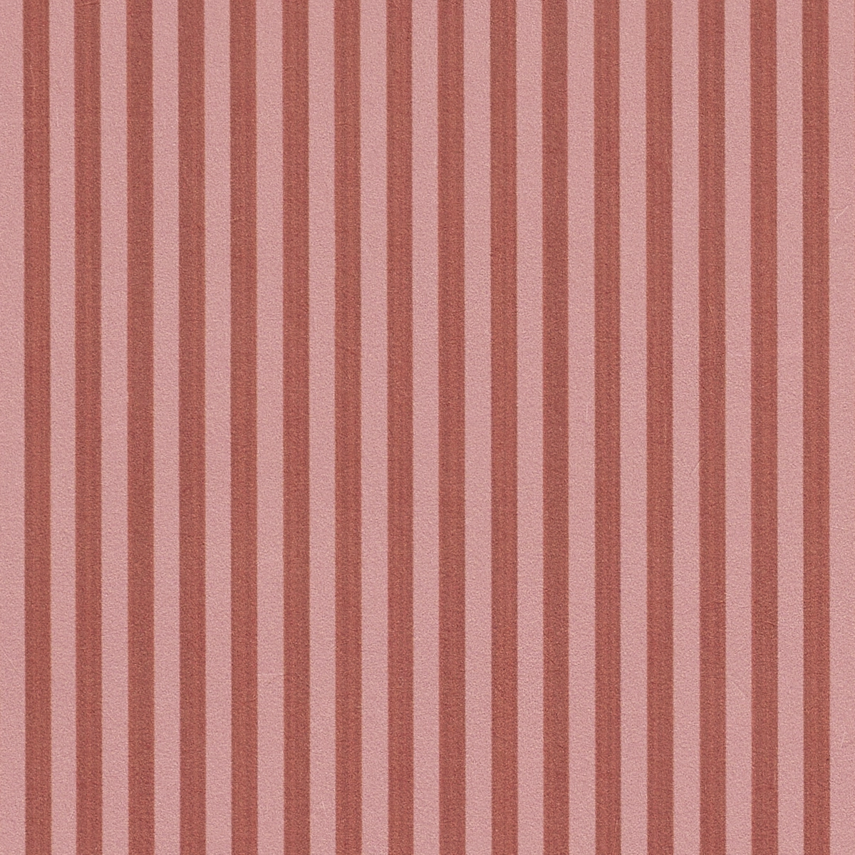 Edwin Stripe Narrow_ SUN KISS