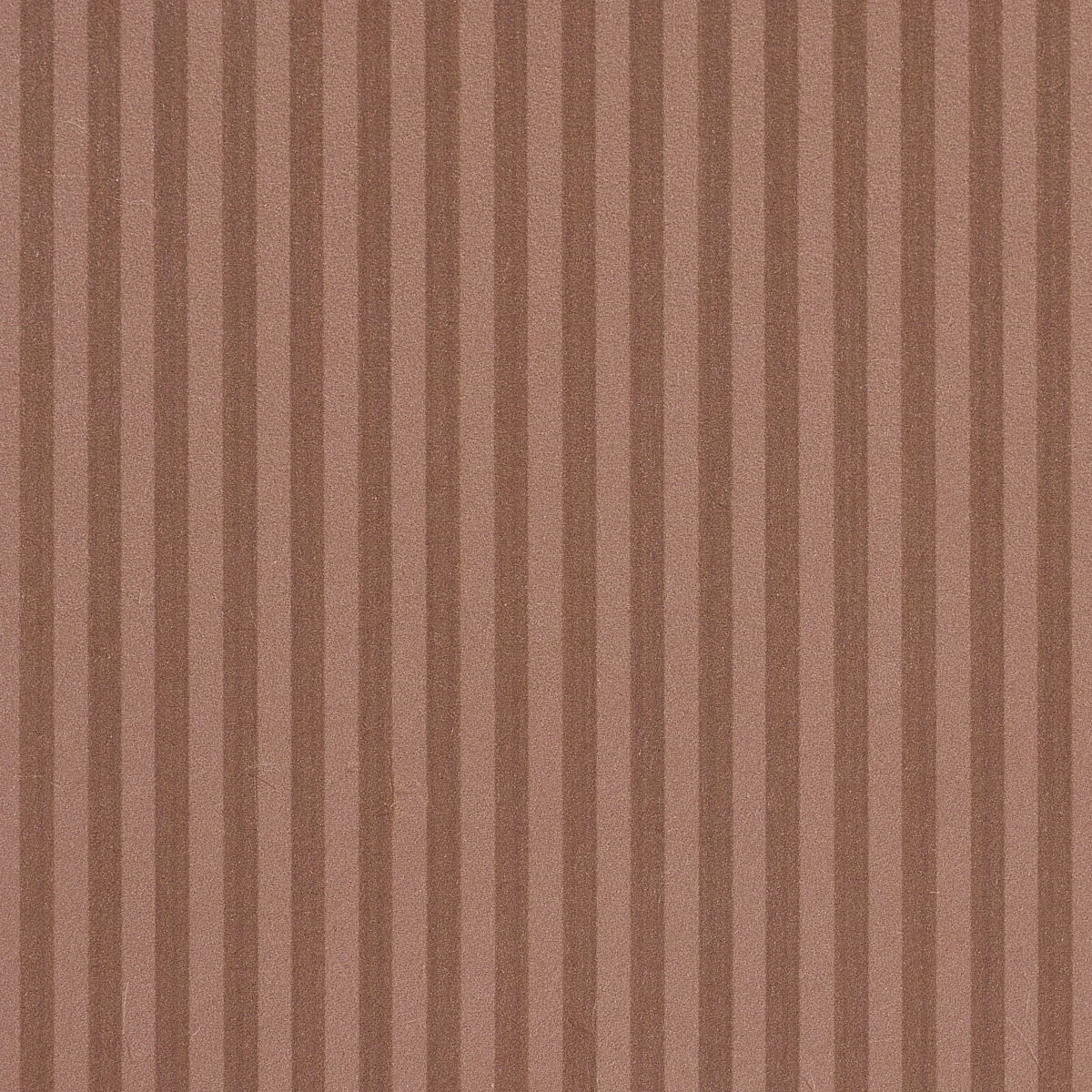 Edwin Stripe Narrow_ TERRACOTTA