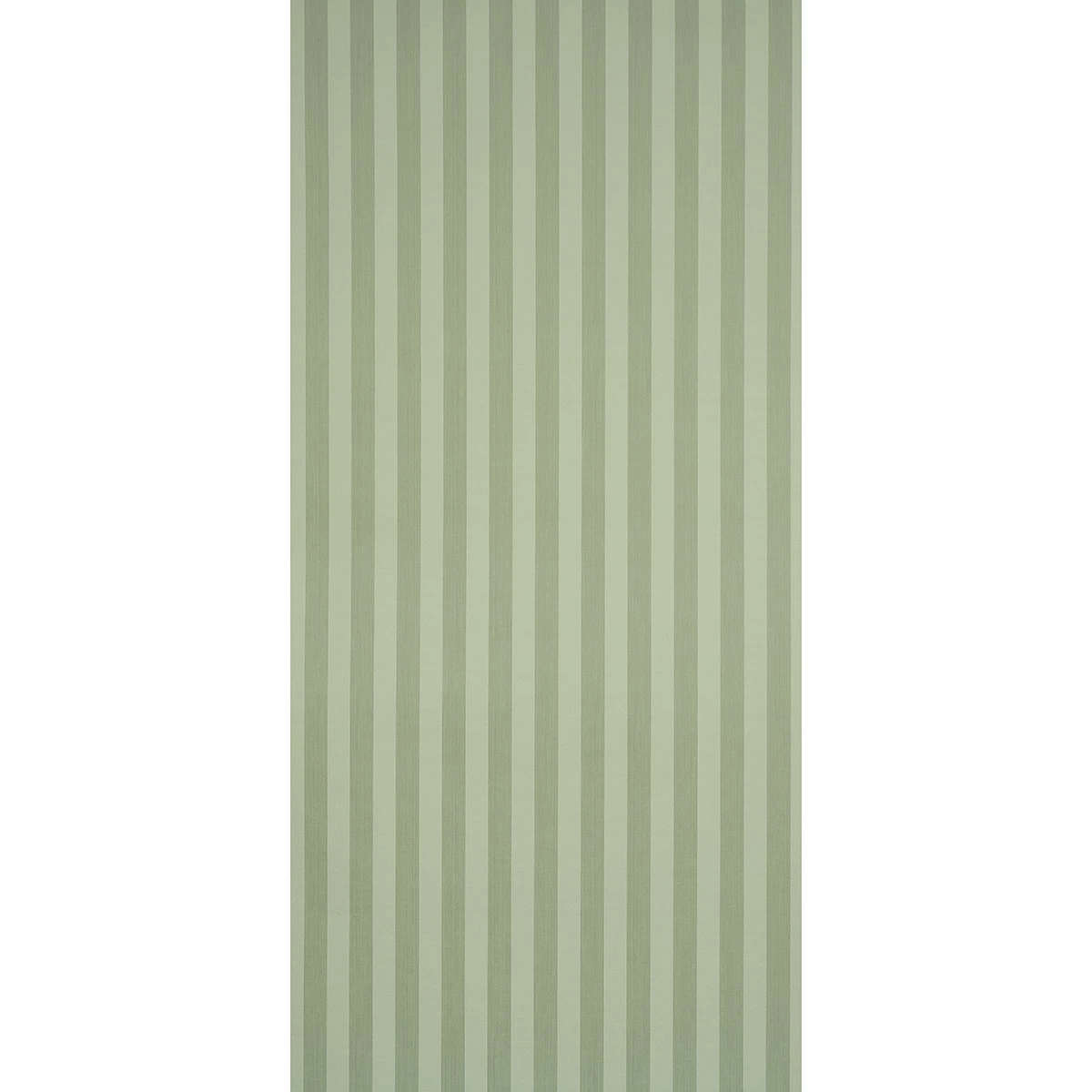 Edwin Stripe Medium_ SAGE