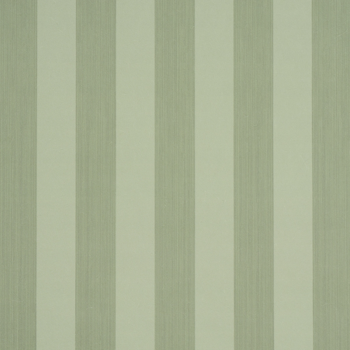 Edwin Stripe Medium_ SAGE