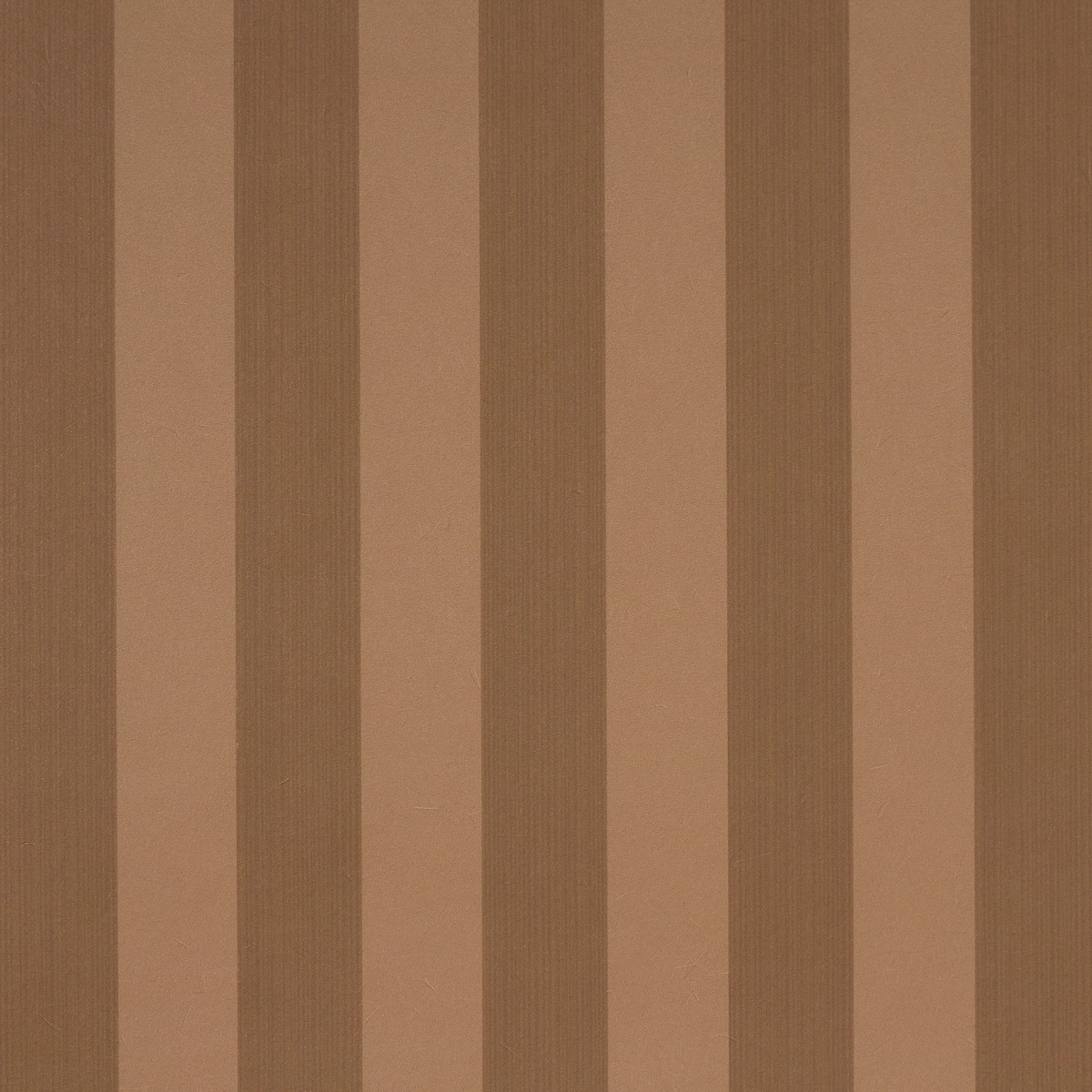 Edwin Stripe Medium_ TERRACOTTA
