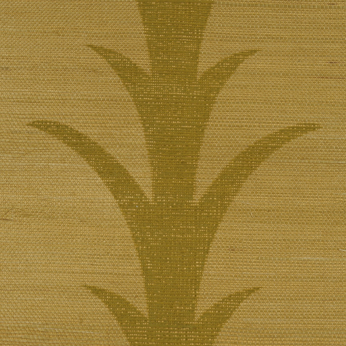 ACANTHUS STRIPE SISAL_ CELERY