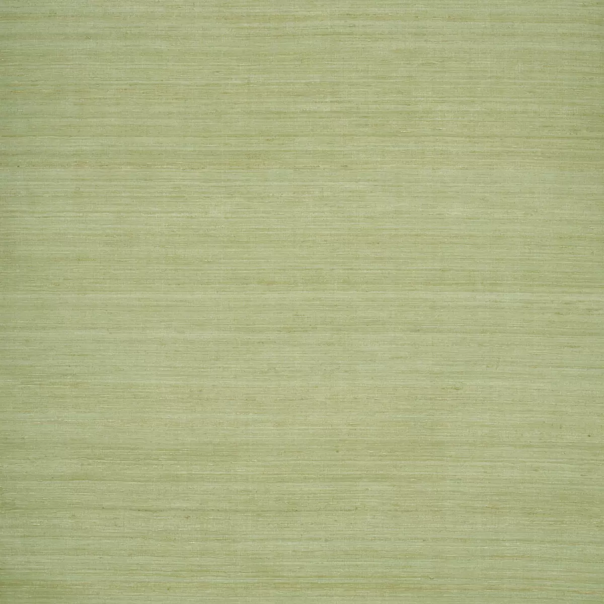 SHADED SILK_ CELERY