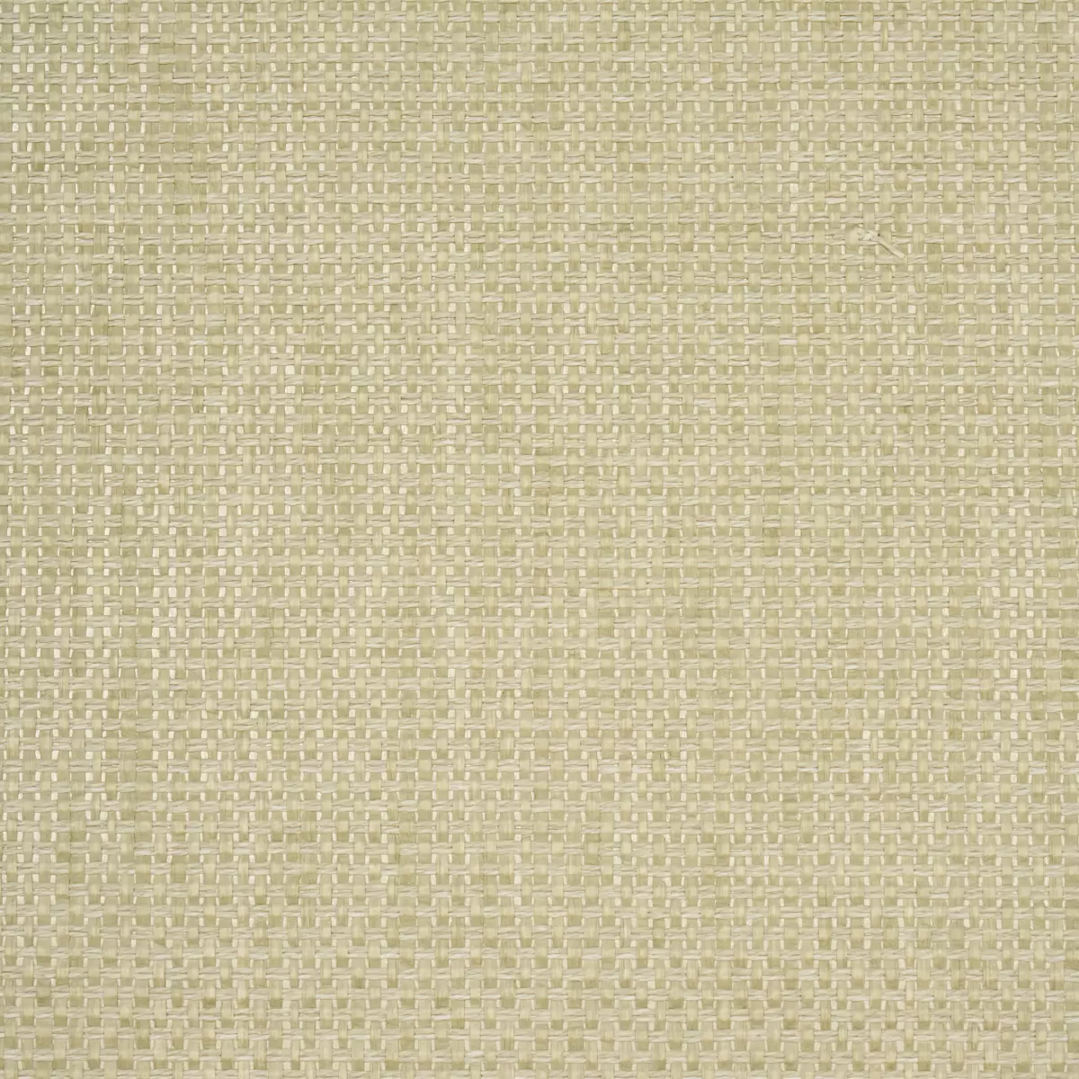 GAMI PAPERWEAVE_ MOSS