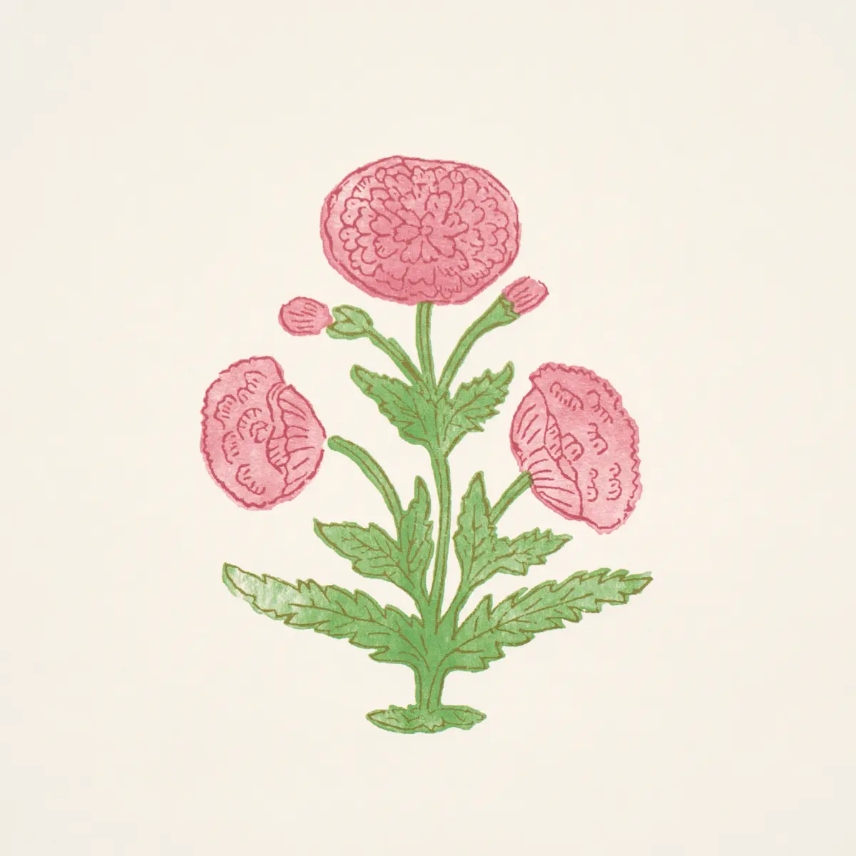 Poppy Print_ ROSE & GRASS