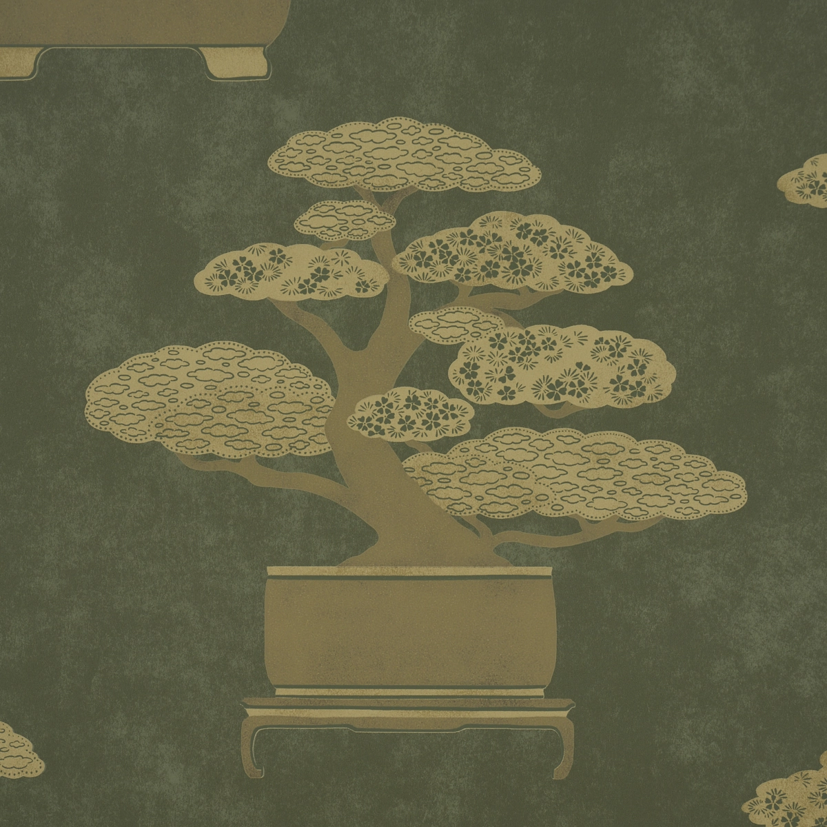 BONSAI TREE_ OLIVE