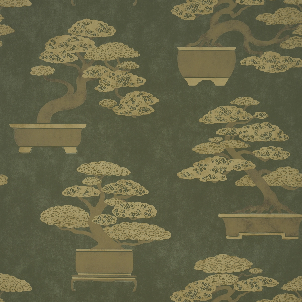 BONSAI TREE_ OLIVE