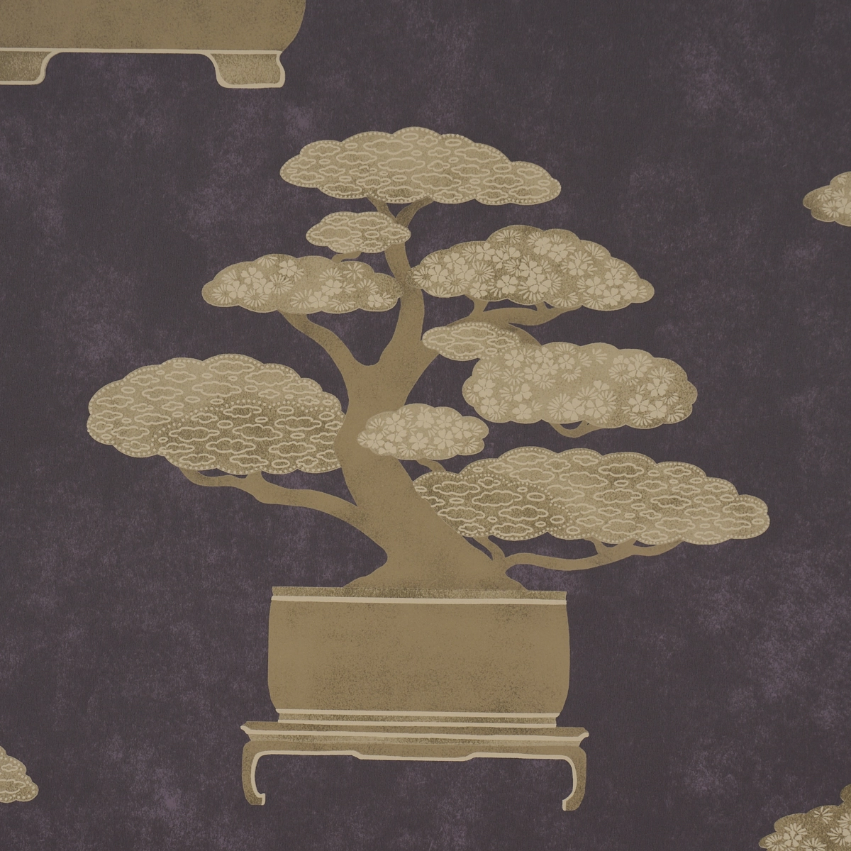 BONSAI TREE_ AUBERGINE