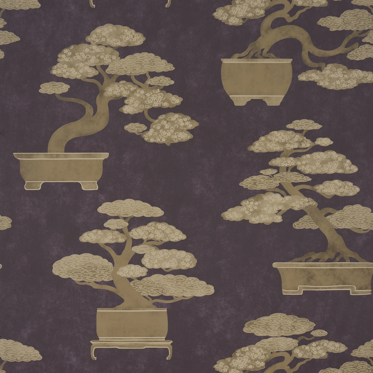 BONSAI TREE_ AUBERGINE
