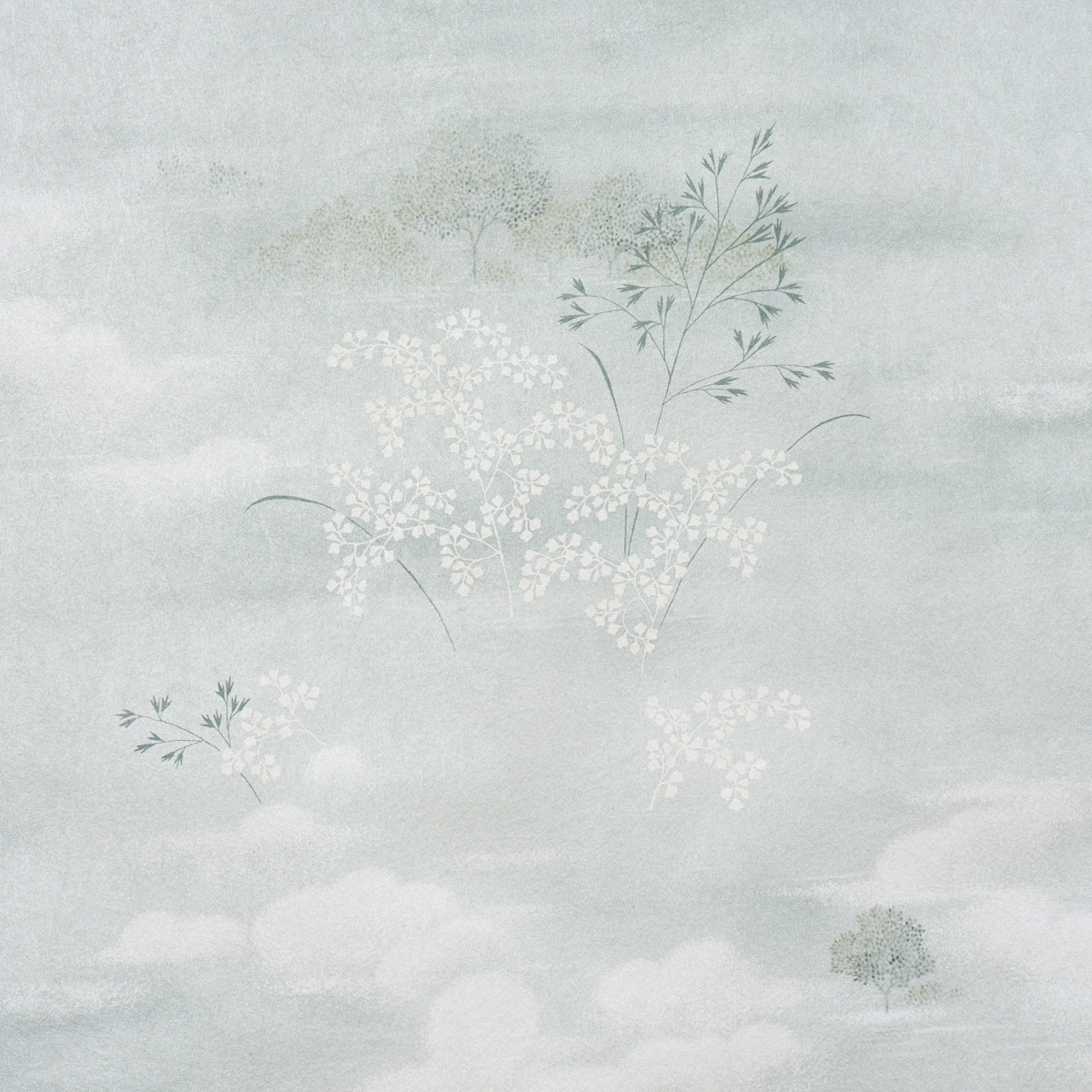 CALM SKIES_ SKY