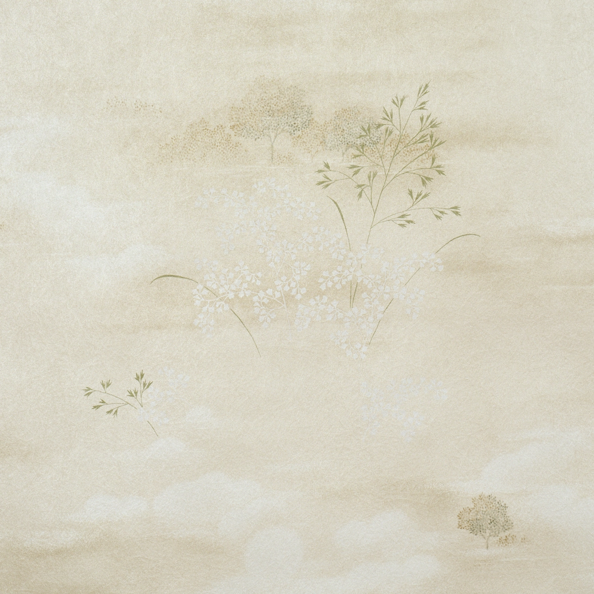 CALM SKIES_ SAGE