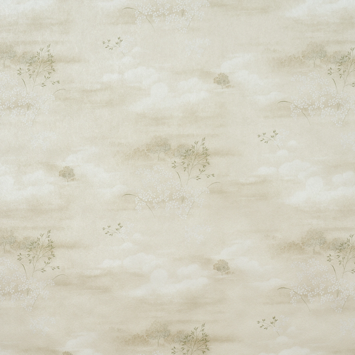 CALM SKIES_ SAGE