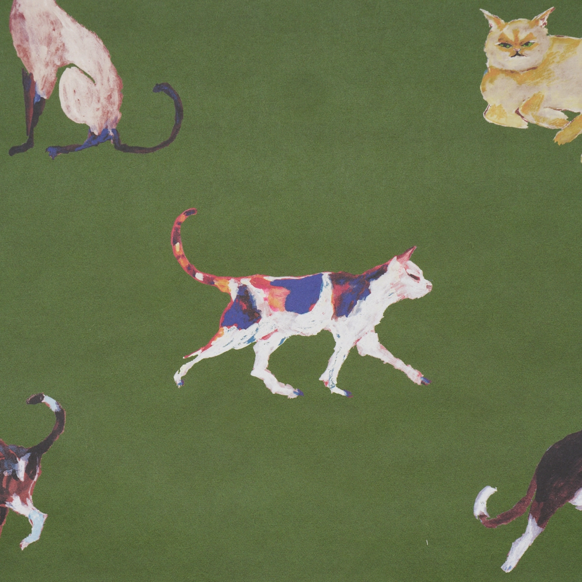 Cats_ GREEN