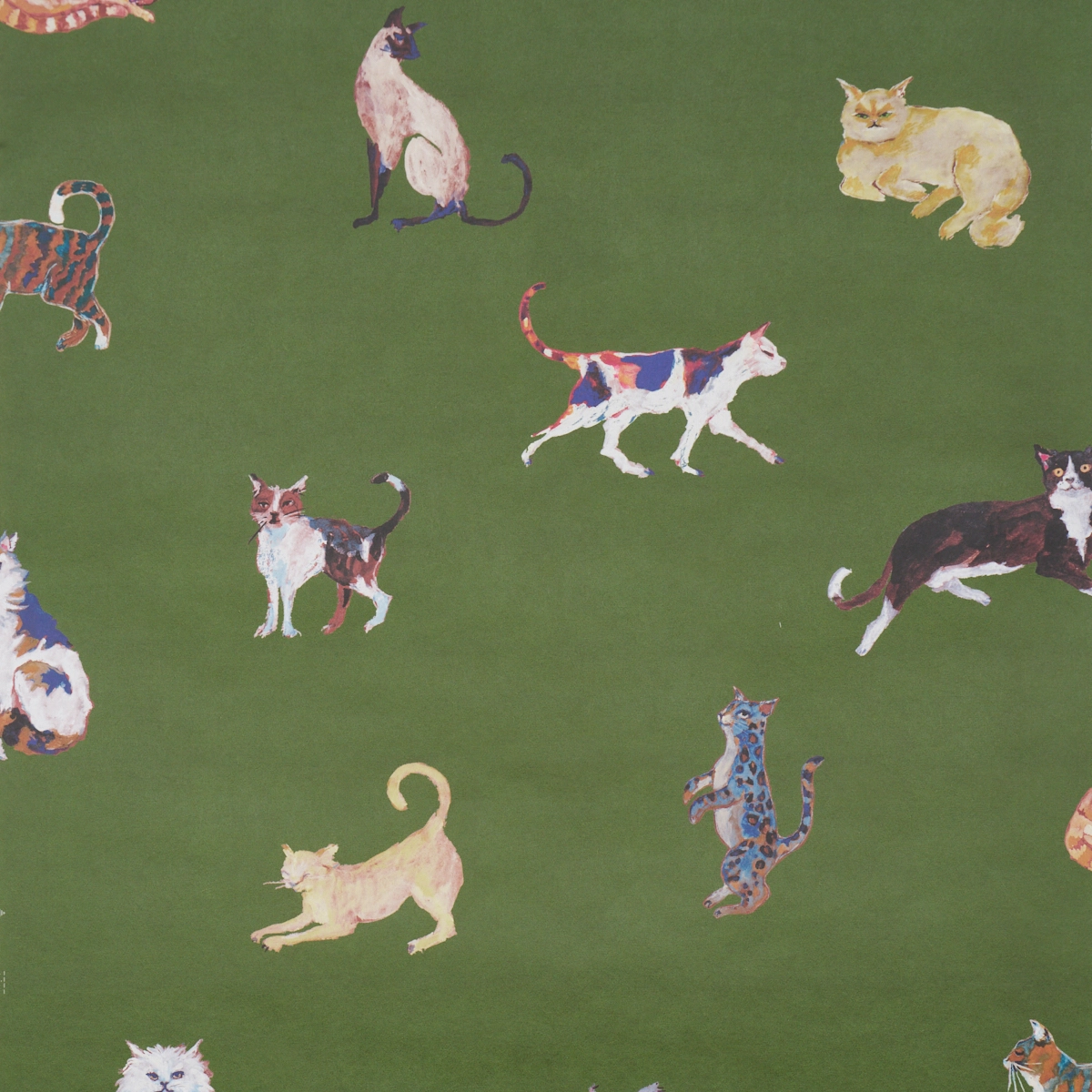 Cats_ GREEN