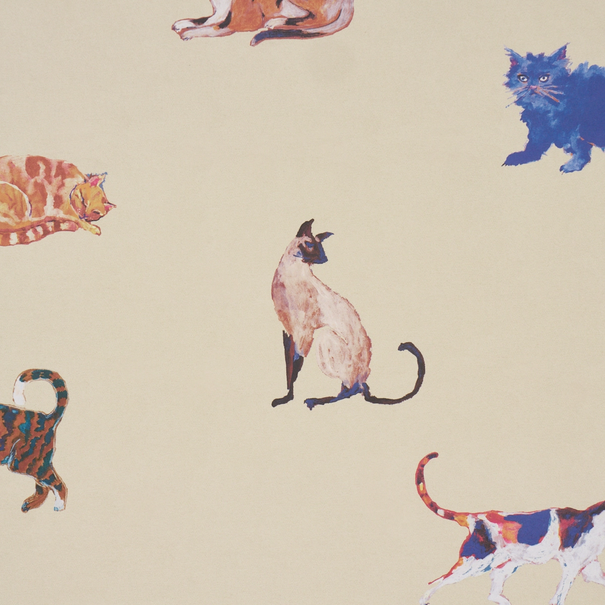 Cats_ CREAM